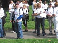 8 bridges walk