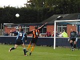 moor green