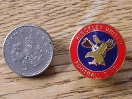 pin badge
